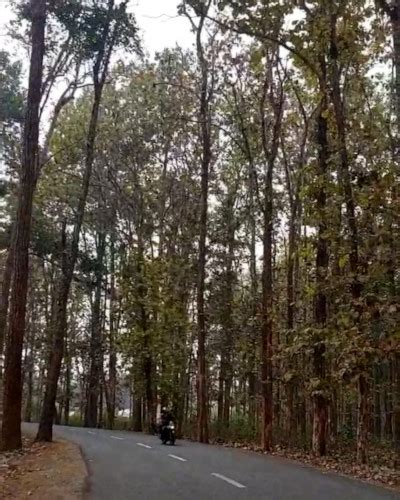 Williamnagar - East Garo Hills, Meghalaya