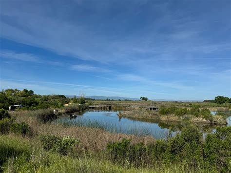 Endemic Environmental Services | Collaborate for Environmental Success