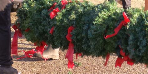 Volunteers spend morning picking up Christmas wreaths from Biloxi ...