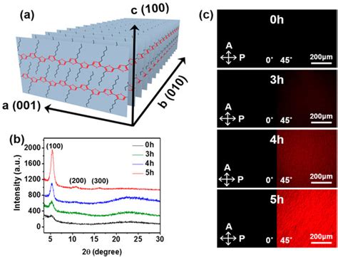 Controlled Self-Assembly of Conjugated Polymers via a Solvent Vapor Pre ...