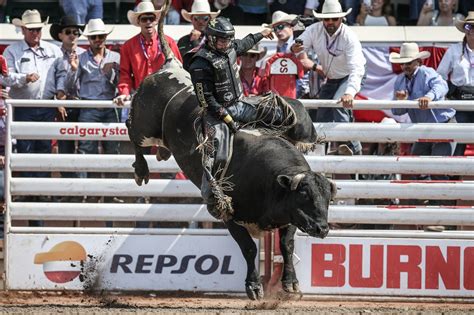 Calgary Rodeo 的图像结果
