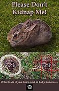 Image result for Protect Rabbit Nest
