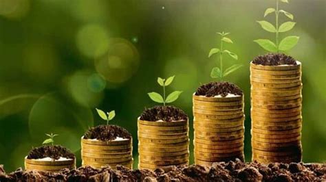 PrimeInvestor expands recommendation suite with portfolios on smallcase ...