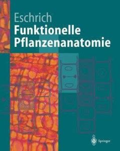 Funktionelle Pflanzenanatomie: Buy Funktionelle Pflanzenanatomie by ...