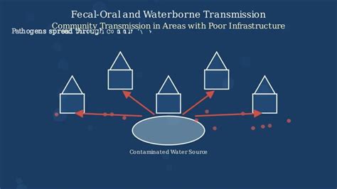 Image result for DNA Replication Process Animation