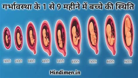 गर्भावस्था के 1 से 9 महीने में बच्चे की स्थिति और विकास