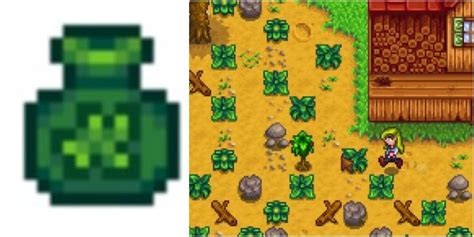 How To Get Fiber In Stardew Valley