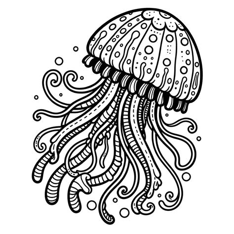 5 Cute Jellyfish Coloring Pages, Marine Life Coloring, Jellyfish ...