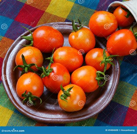 Tomato, Prevent Breast Cancer Stock Photo - Image of cancer, fruit: 49484608
