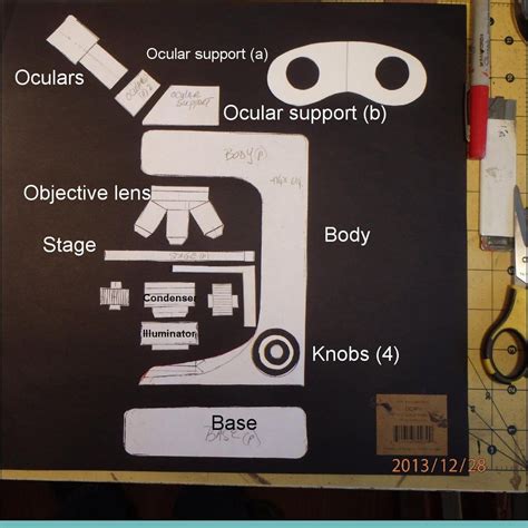 Image result for How Make a Microscope Using Cardboard