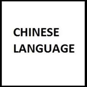 Image result for Coding in Chinese Example