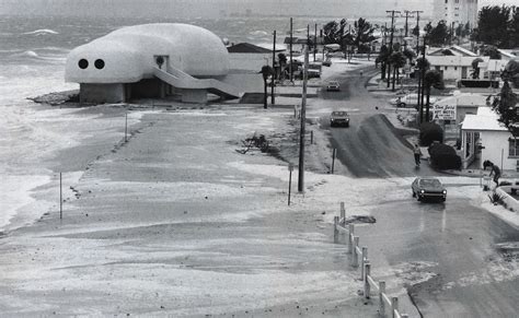 Vintage Pinellas: The Penguin • St Pete Catalyst