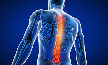 Dr. Shradha Maheshwari