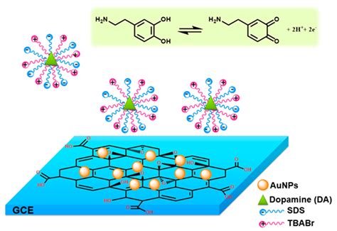 Supramolecular Electrochemical Sensor for Dopamine Detection Based on ...