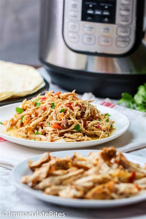 Shredded Chicken Pasta Recipes