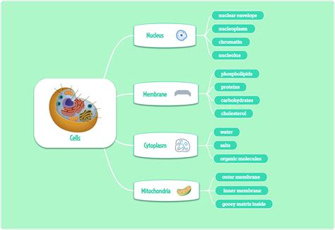 Biology Mind Map 的图像结果