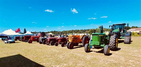 Lamb Watch Fundraiser Night – BC Pizza of Belding!, B.C. Pizza of ...