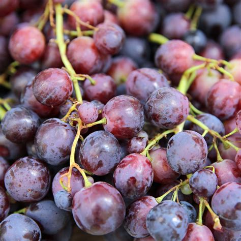 Seedless Red/Black Grapes – Greenways