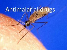 Image result for antimalarial