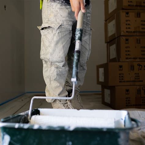 Hannover Paints - Innovus Tech