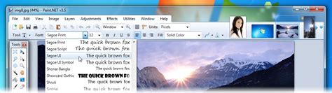 Image result for Paint.NET Image