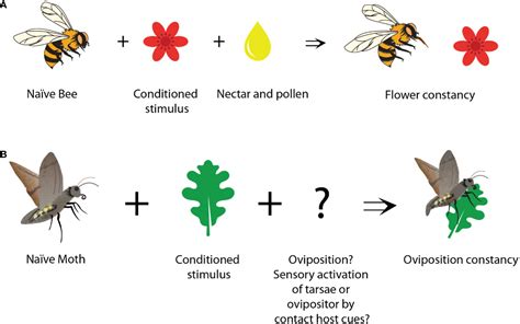 Image result for Boolean Satisfiability Problem NP Problem