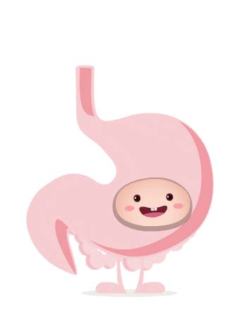 Is Your Gut Really Your Second Brain? - Cosmopolitan India