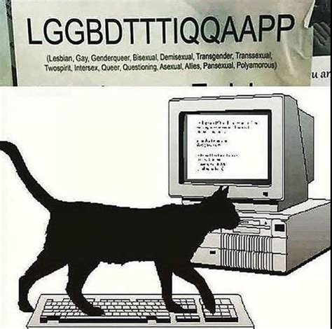 Image result for Keyboard Cat Meme