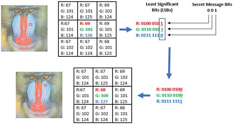Image result for Python LSB Algorithm