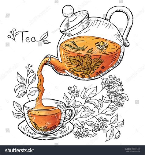 Tea Illustration