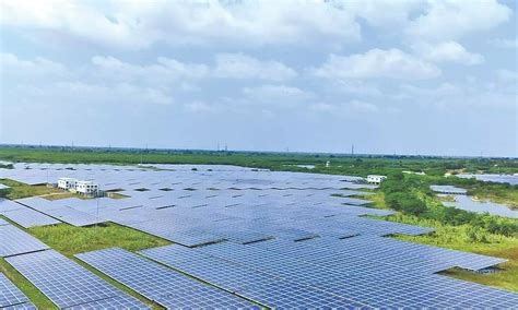 2.65 lakh houses are lit up every day from energy generated by Adani's ...