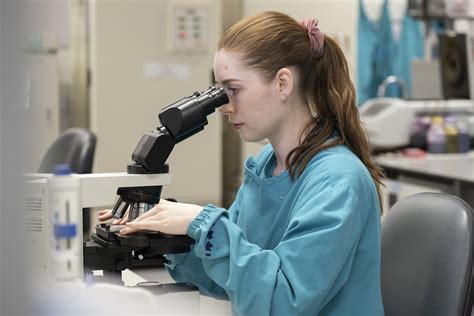 Clinical Data Repository 的图像结果