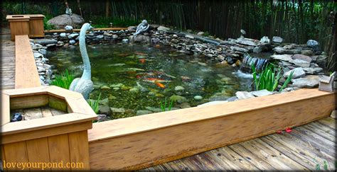Diy Above Ground Fish Pond