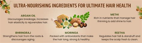 Buy Himalayan Organics Moroccan Argan Oil Shampoo With Extract of ...