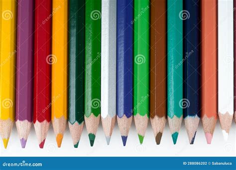 Using Color Pencils for Elementary 的图像结果