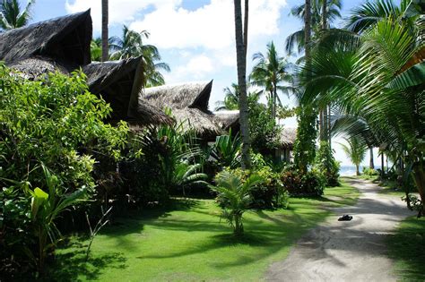 Siargao Inn Beach Resort Beach: Pictures & Reviews - Tripadvisor