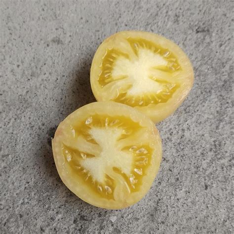 Wapsipinicon Peach Tomato (Solanum lycopersicum) seeds