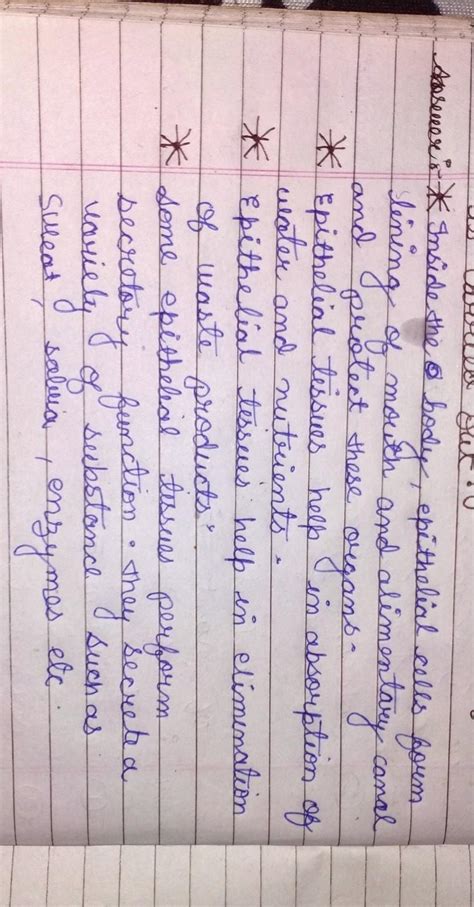 give four important functions of epithelial tissue, name one specific ...