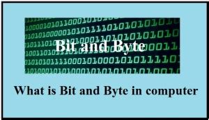 Image result for Original Computer Byte