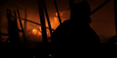 Early morning fire leaves couple to mourn loss of 6 dogs on Easter ...