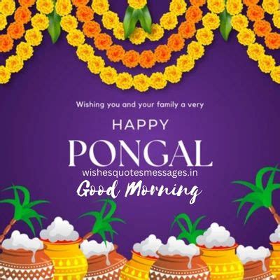 {35+} Happy Pongal 2026 Images Pictures Photos HD Free Download Good ...