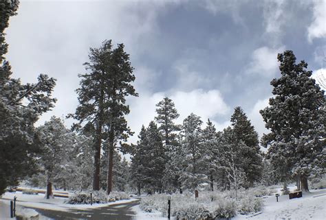 Serrano Camping | Big Bear Lake, California