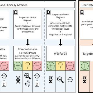 Genetic Testing 的图像结果