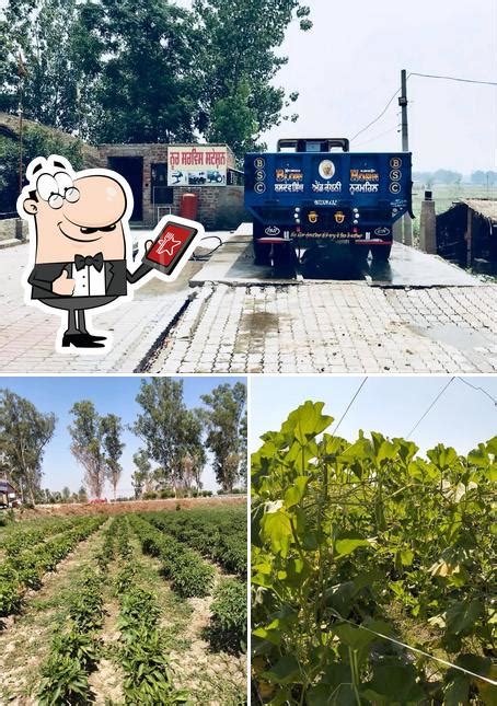 NOOR DHABA, India, DASUYA-TANDA Road - Restaurant reviews