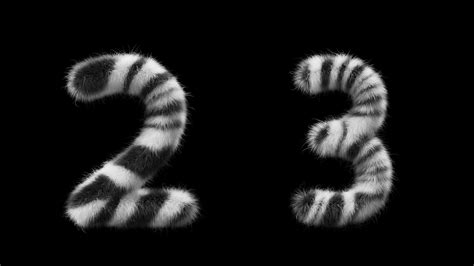 Image result for Number Animation