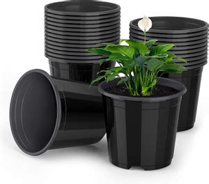 Gardeningwala 6 inch black nursery pot Plant Container Set Price in ...