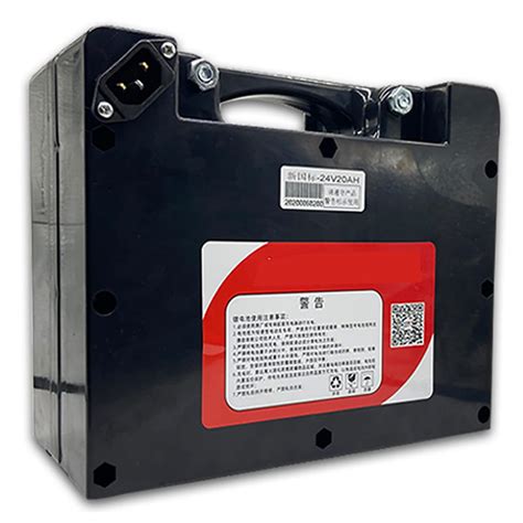 Buy LONGRING Elderly scooter Battery LiFePO4 24V Rechargeable Battery ...