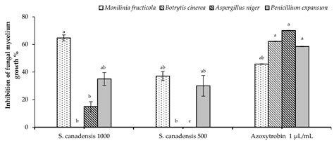 Antimicrobial Activity and Chemical Composition of Essential Oil ...