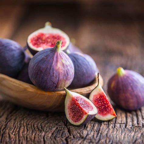 Buy Israel Fig (Anjeer) Plant Online in India – Fast Fruiting – Bees ...