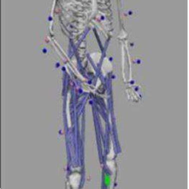 Image result for OpenSim Simulator